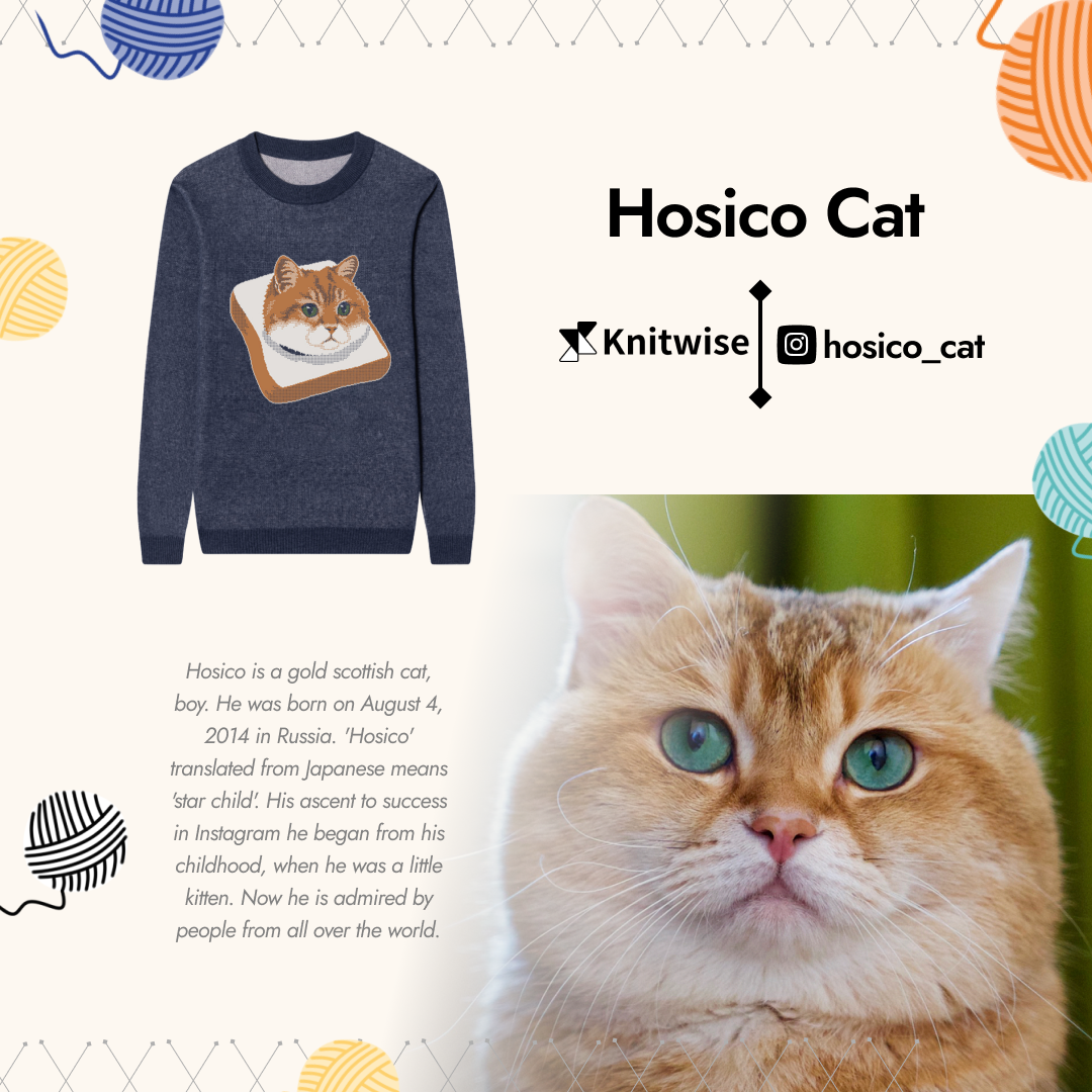 Hosico sales cat price