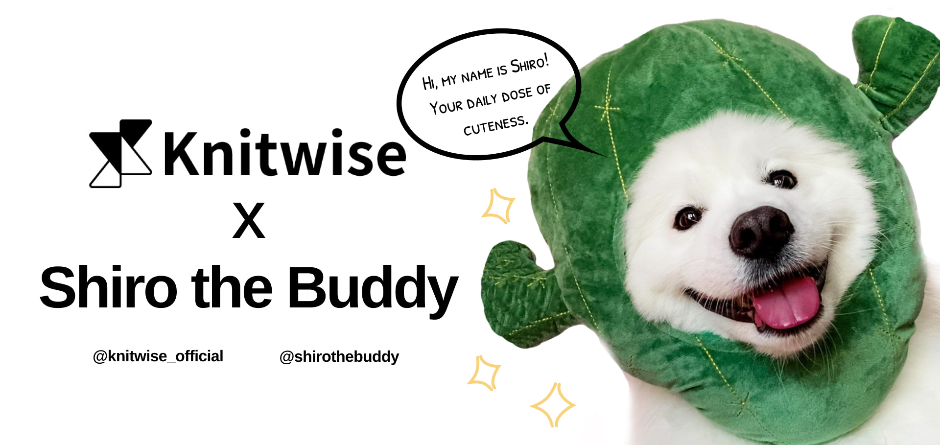 shiro-the-buddy-knitwise-inc