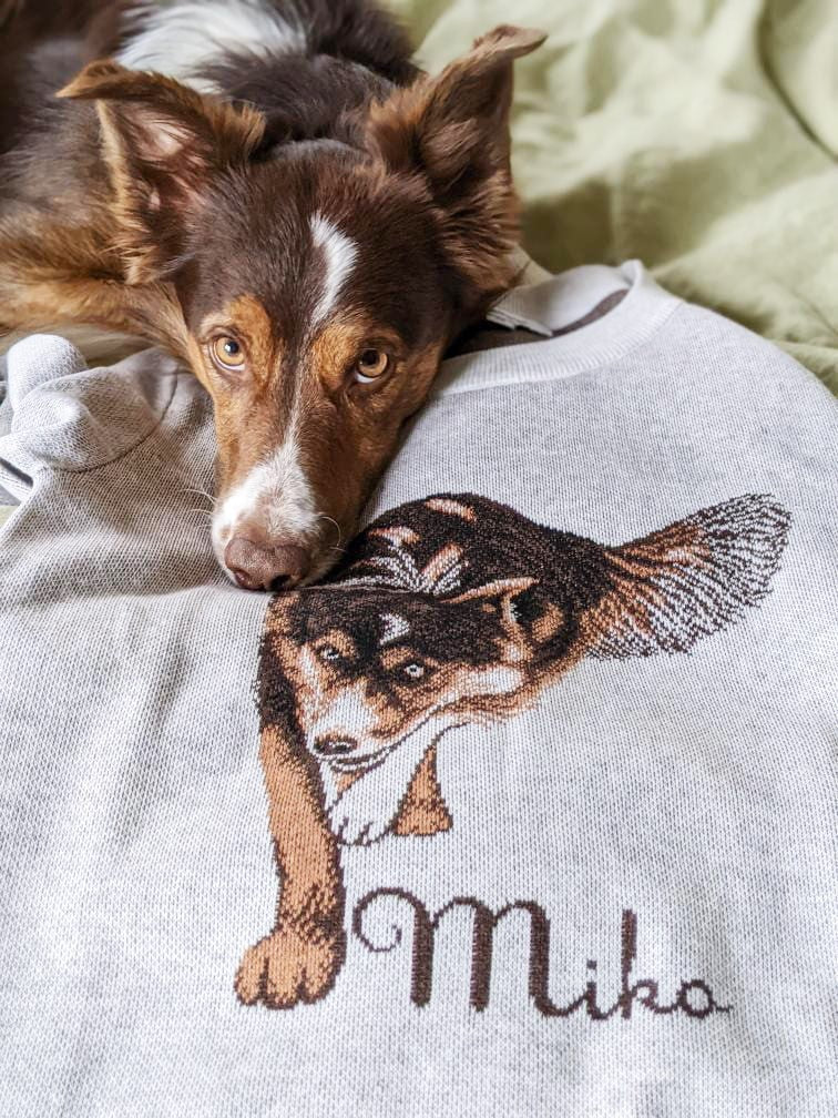 Knitwise, Inc. Custom Pet Sweater | Portrait Only Custom Knit | Knitwise One Pet / Chili