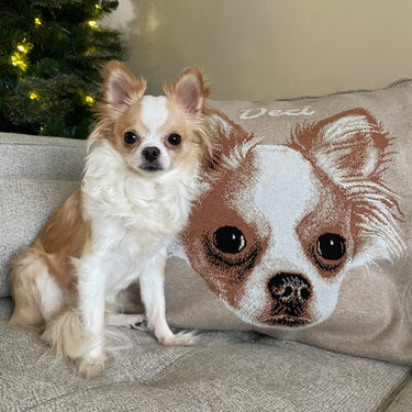 Dog pillowcase outlet