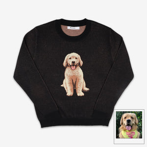 Gucci dog sweater, pug christmas sweater