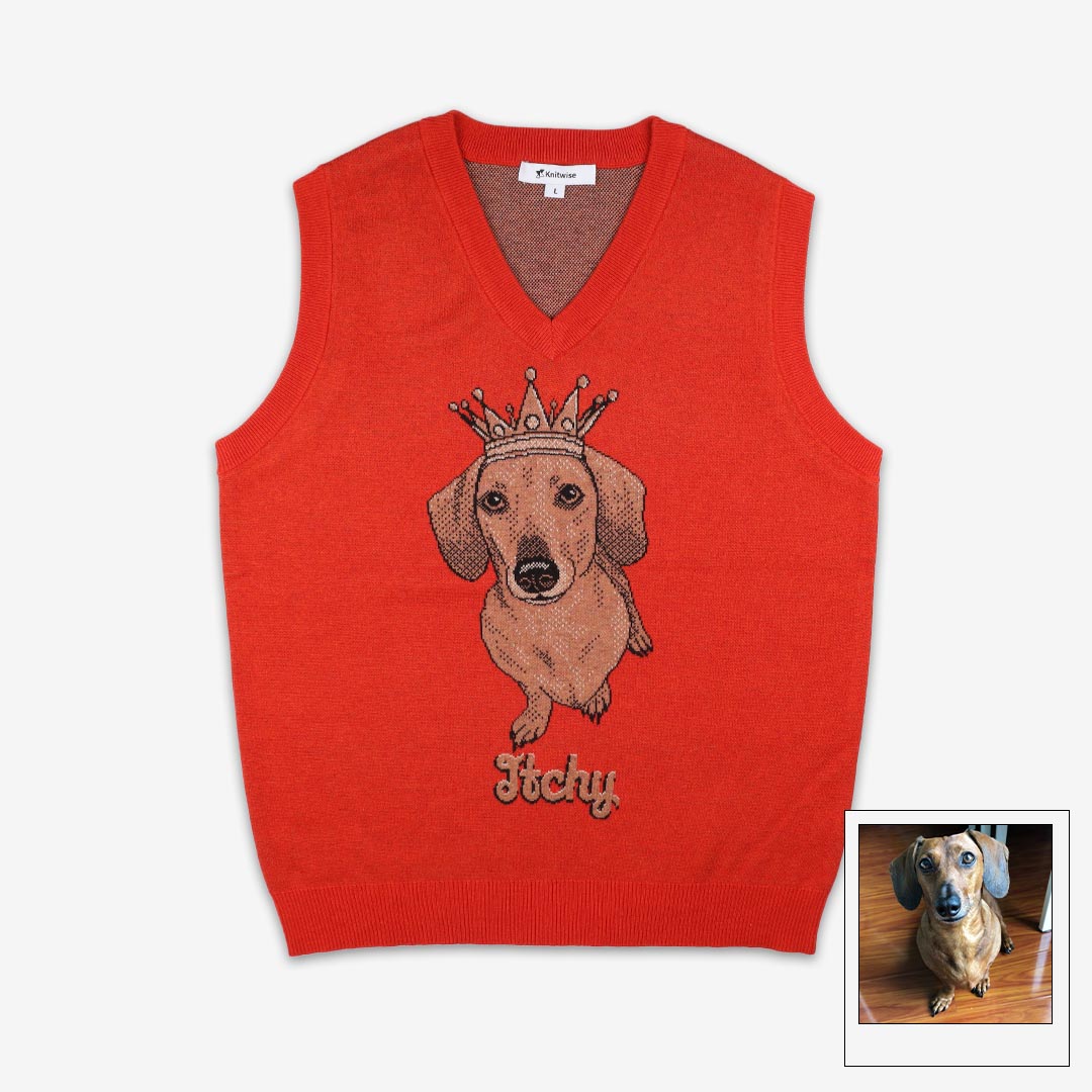 Knitwise, Inc. Custom Pet Sweater | Portrait Only Custom Knit | Knitwise One Pet / Chili